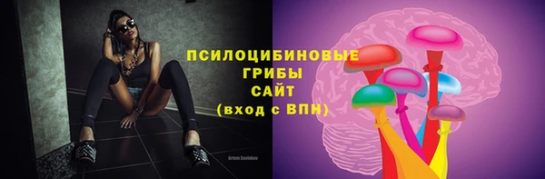 дмт Киреевск