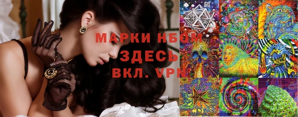дмт Киреевск