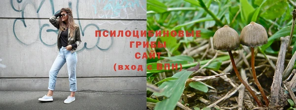 ECSTASY Киренск