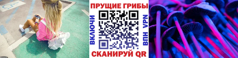 Псилоцибиновые грибы мицелий Сурск