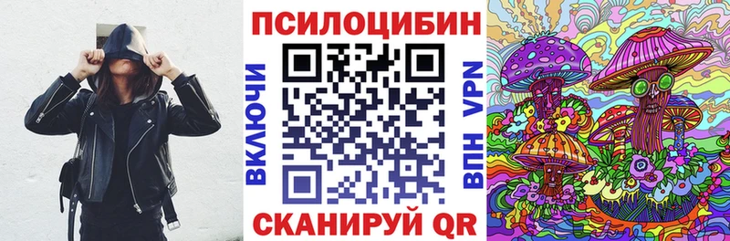 Купить  Сурск  Галлюциногенные грибы прущие грибы 
