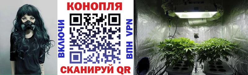 Купить  Сурск  МАРИХУАНА Ganja 